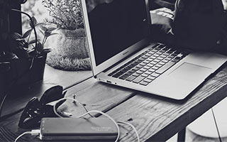 什么是生物的种和界？